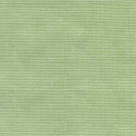 MARQUISE CF C/C 51% POL 49%ALG  135 CMS VERDE