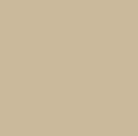 POPELINA VERONA 50% ALG 50% POL H. EN INDIA 145 CMS BEIGE